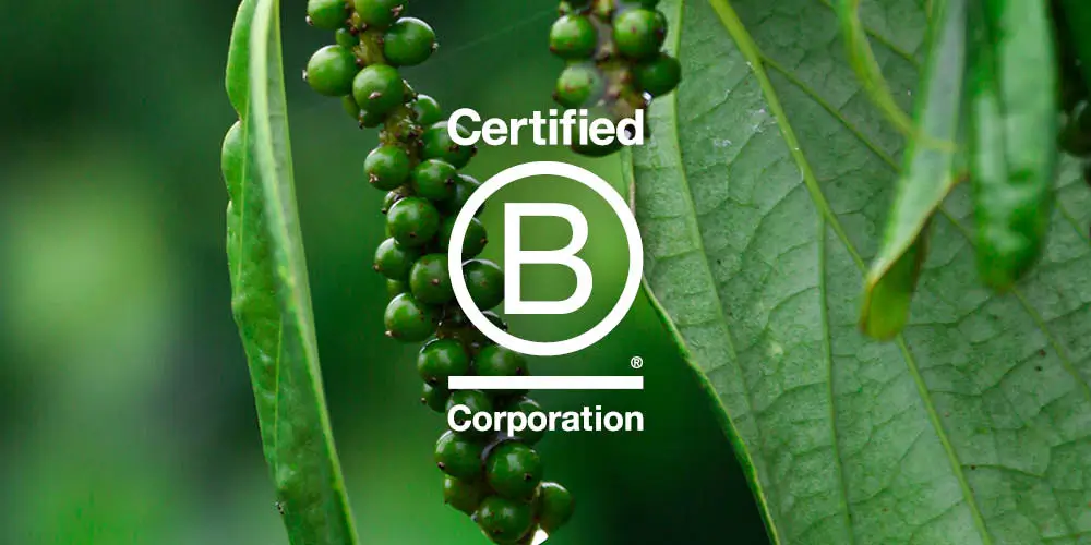 Verstegen Is B Corp Certified